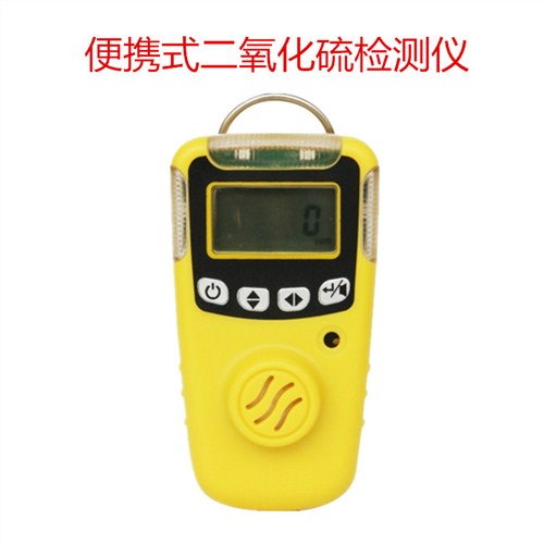 便携式二氧化硫气体检测仪报警器